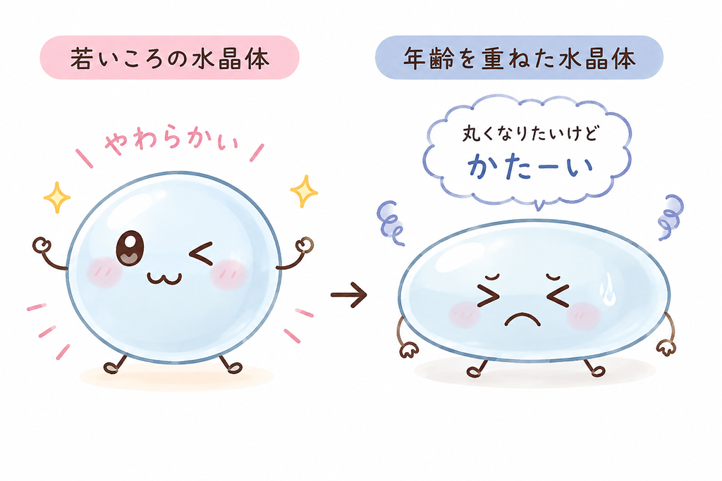 やわらかい若いころの水晶体と、硬くなった年齢を重ねた水晶体を比べたイラスト